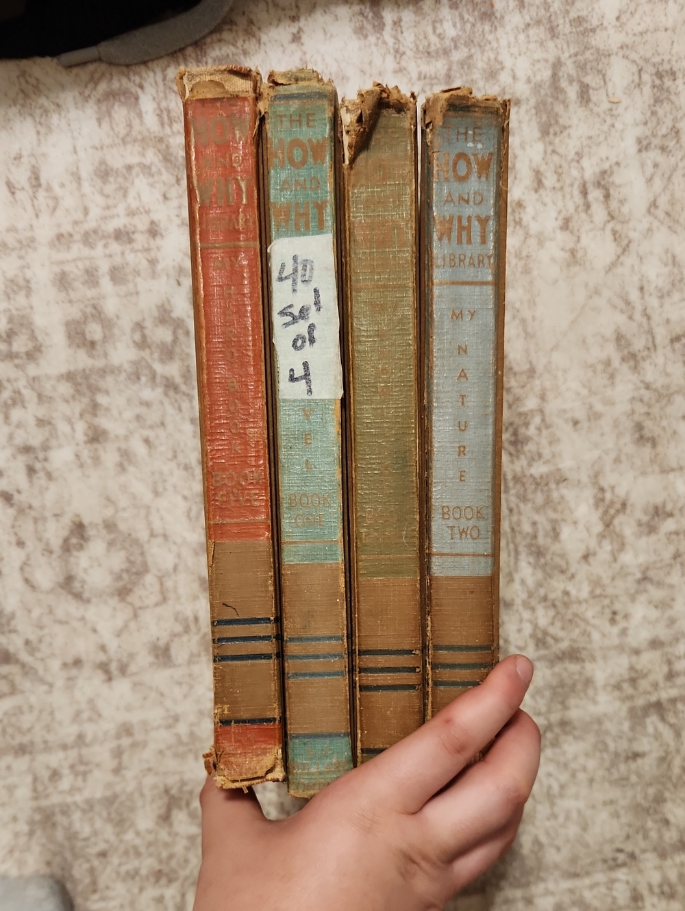 Set of 4 How And Why Books in Red, Light Blue, Green, Brown